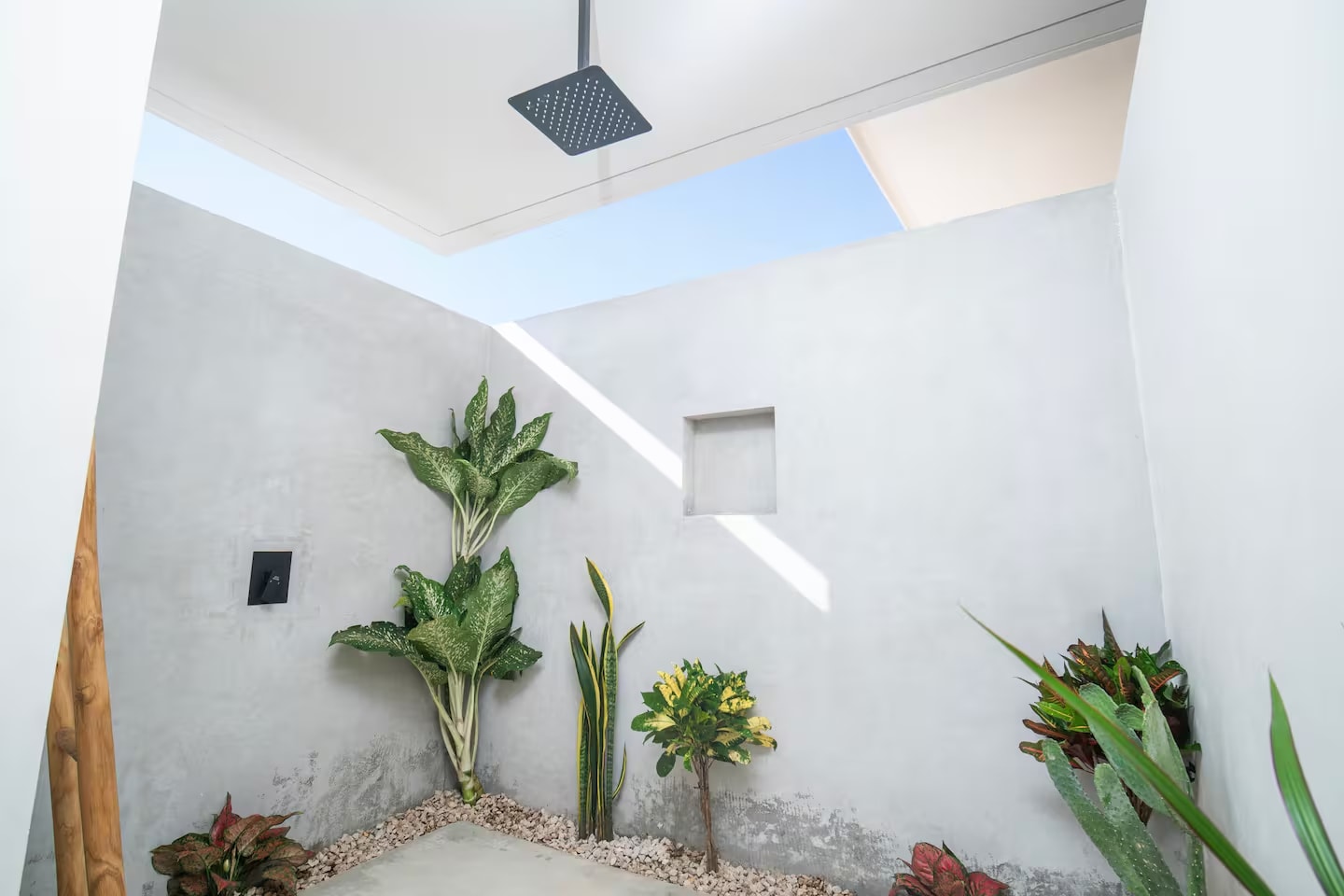 Open-air outdoor shower with skylight and tropical plants